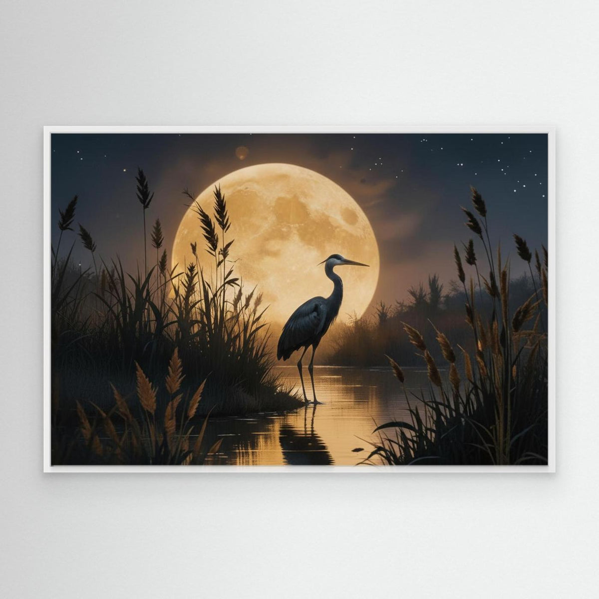 Heron In Wetlands